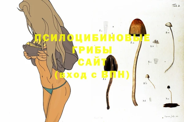 PSILOCYBIN Алексин