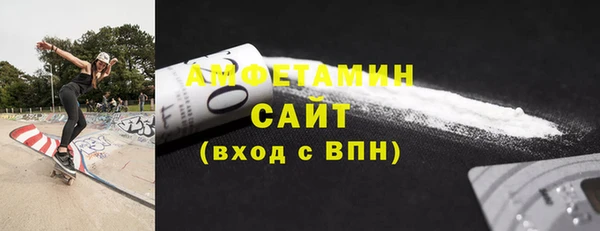 гашик Мегион