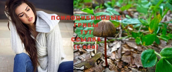 стаф Алексеевка