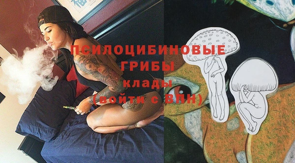бутират Алзамай