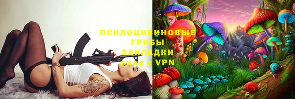 PSILOCYBIN Алексин