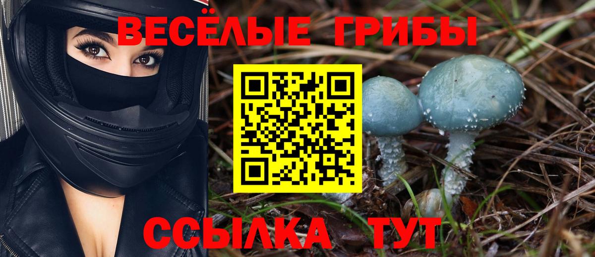 Галлюциногенные грибы ЛСД Уссурийск